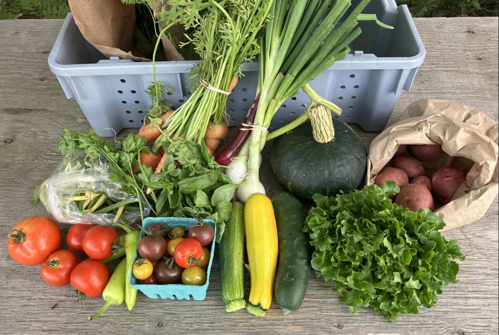 Registration for our 2024 vegetable boxes is open!